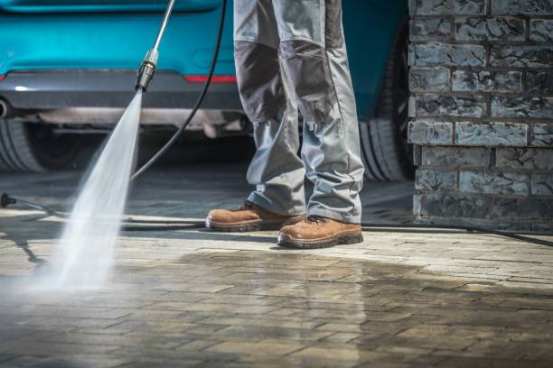 Best Boat and Dock Cleaning  in Palacios, TX