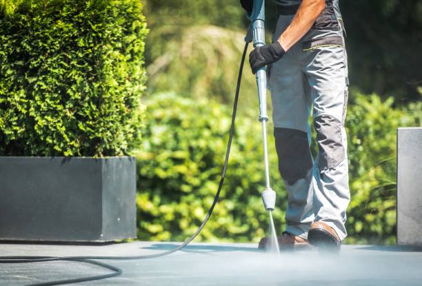 Best Solar Panel Cleaning  in Palacios, TX
