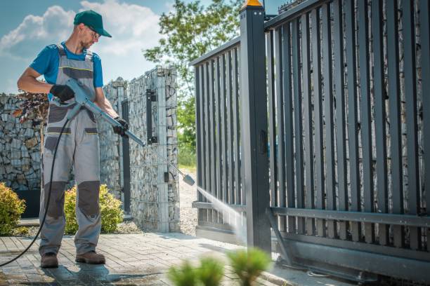 Best Gutter Cleaning  in Palacios, TX