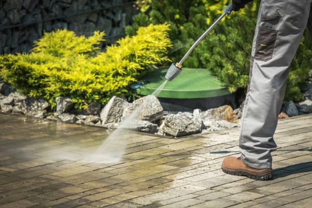Best Warehouse Cleaning  in Palacios, TX