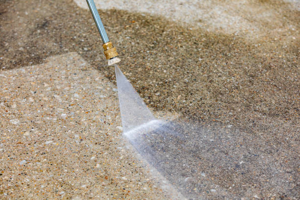 Best Sidewalk and Walkway Cleaning  in Palacios, TX