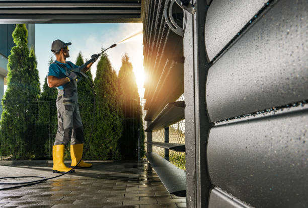 Best Driveway Pressure Washing  in Palacios, TX