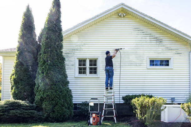 Best Spring Cleaning  in Palacios, TX
